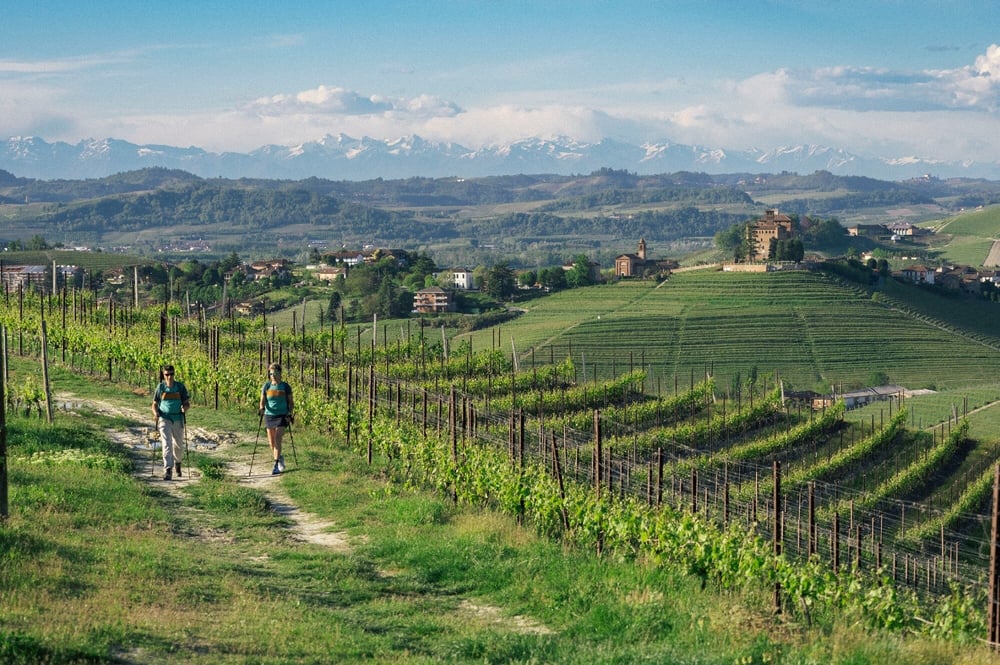 Piedmont Barolo hiking tour