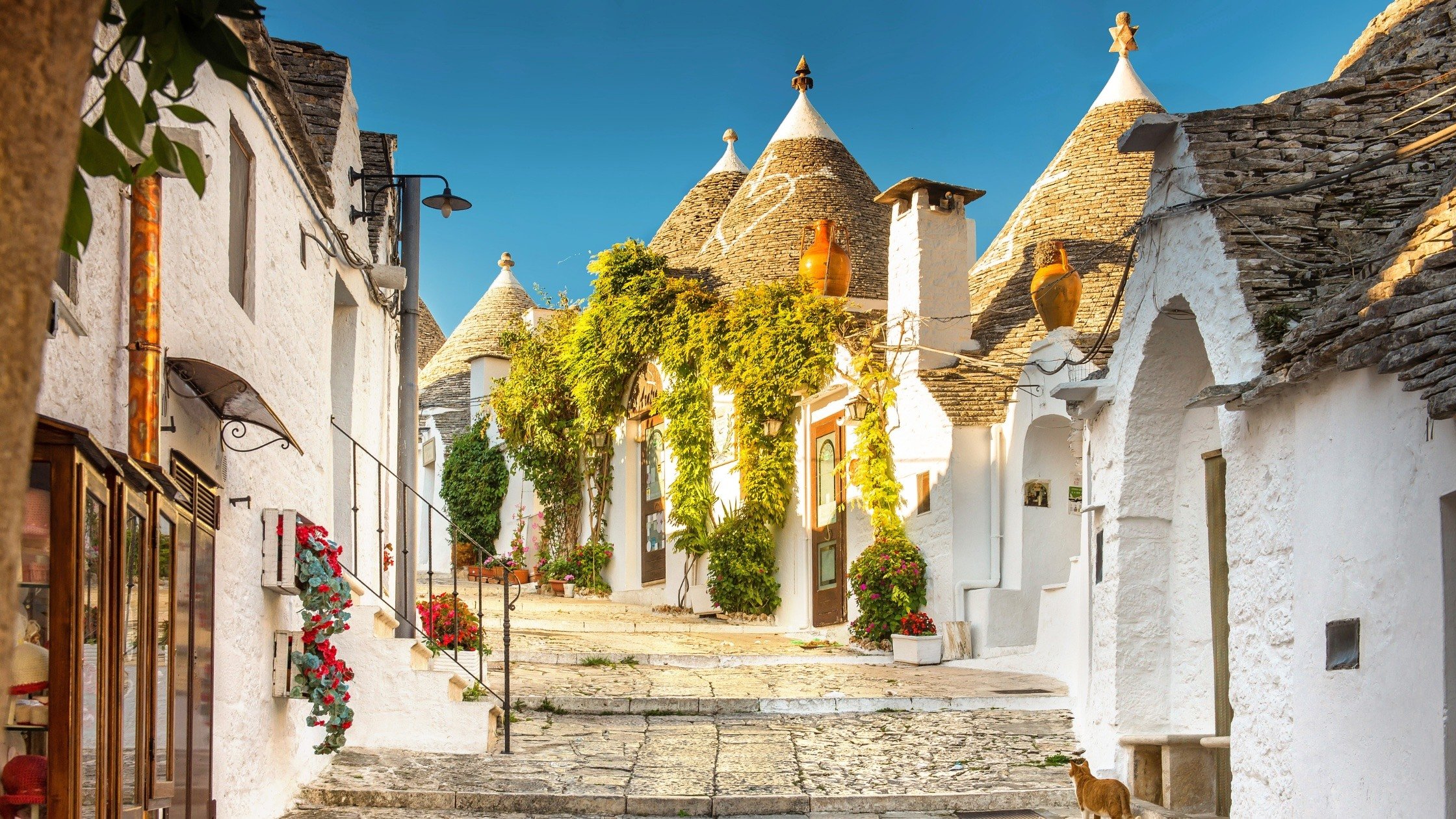 Best Places in Puglia Alberobello Cycling