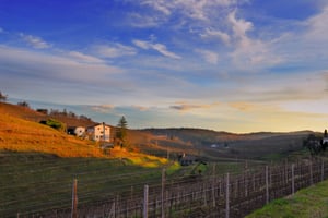 Destination Highlight: Friuli, and Why It's Cycling Heaven