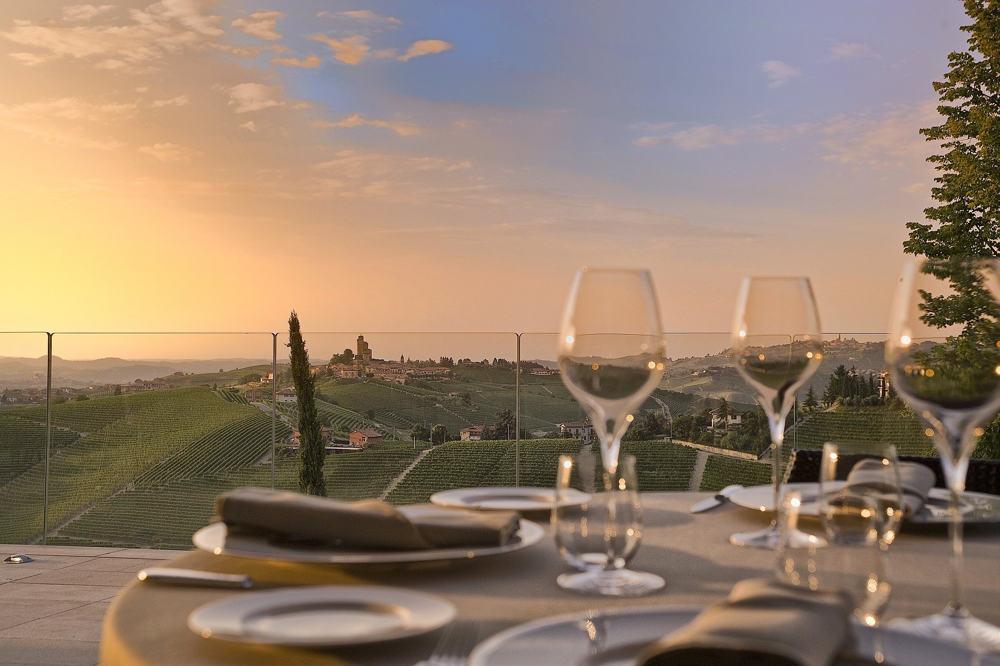 IL_BOSC_REI_TERRAZ_MRZ3128