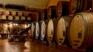 Wine Tasting in Italy While on Bike Tour